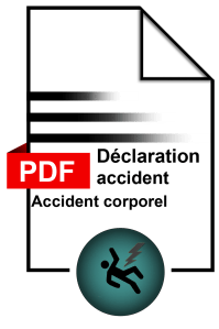 Pdf dommage
